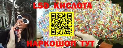 дживик Кингисепп