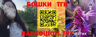 spice Кинель