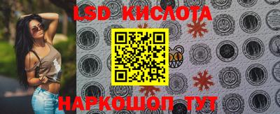 дживик Кингисепп