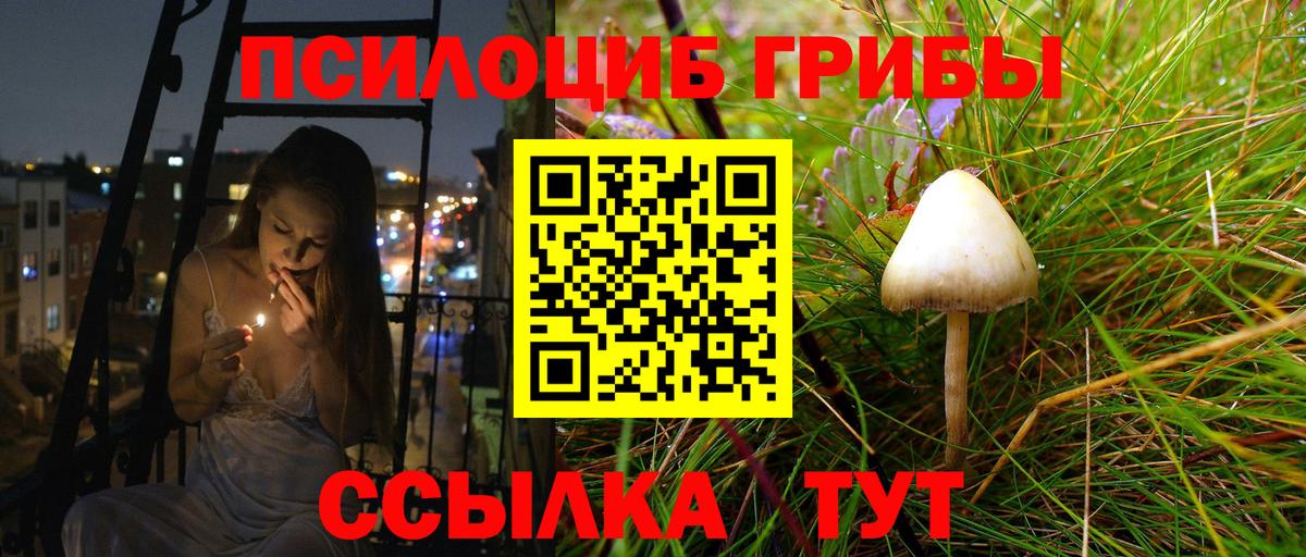 Шахты  Псилоцибиновые грибы Cubensis  купить наркоту  Вход с VPN 